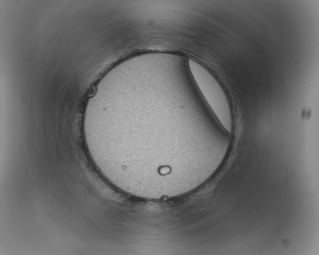 X0000113630305200910091602