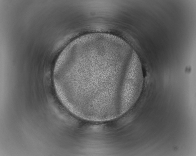 X0000113630306200910091602