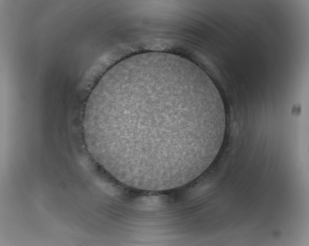 X0000113630307200910091602