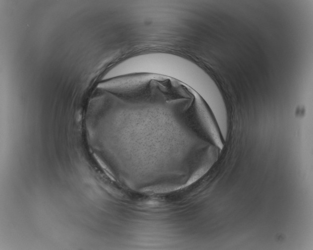 X0000113630308200910091602