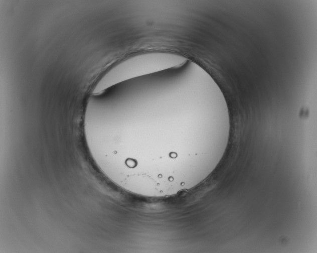 X0000113630309200910091602