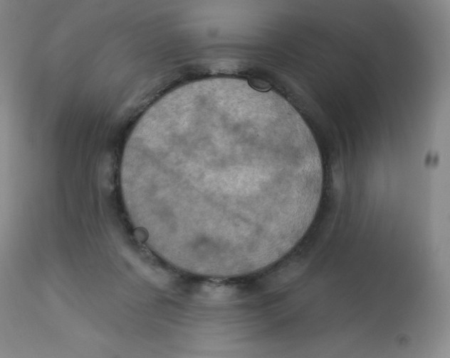 X0000113630311200910091602