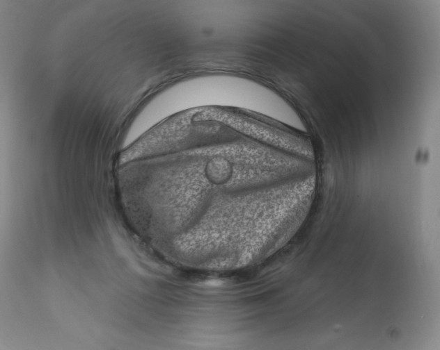 X0000113630312200910091602