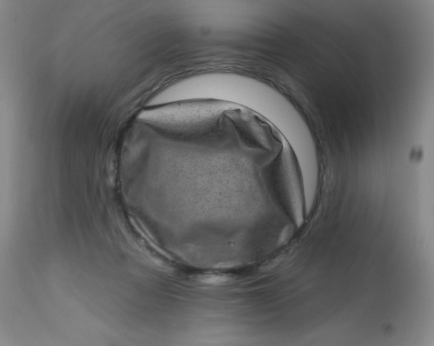 X0000113630313200910091602