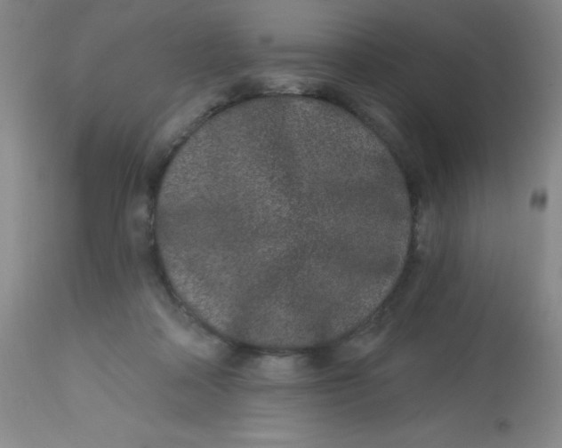 X0000113630314200910091602