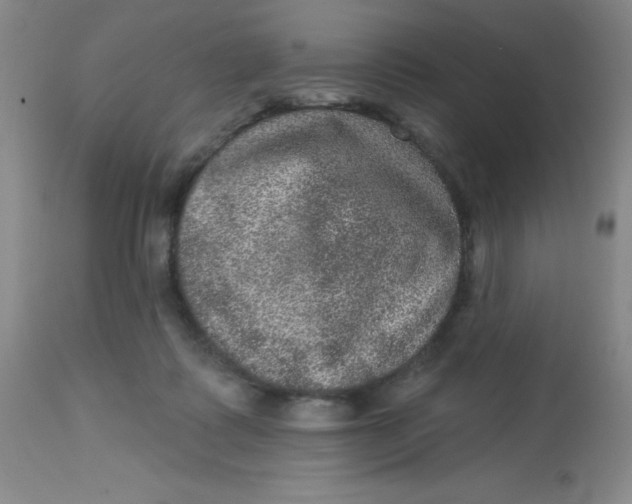 X0000113630315200910091602