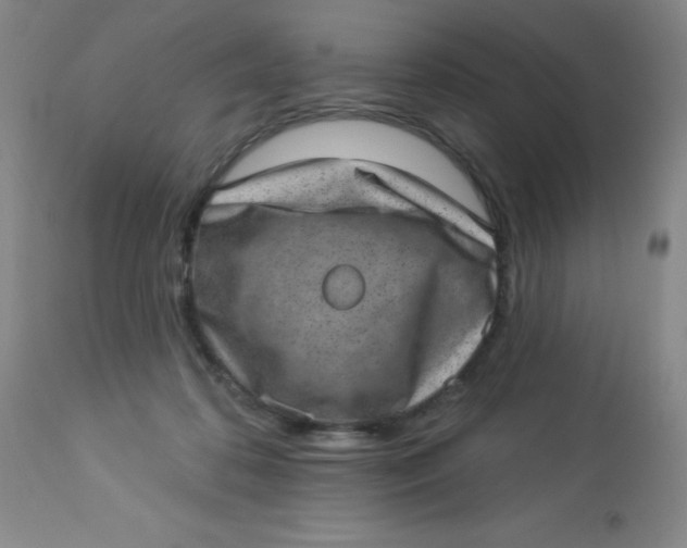 X0000113630316200910091602