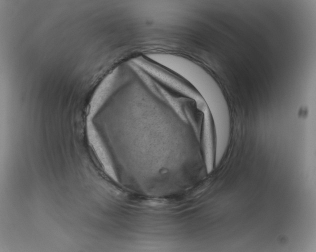 X0000113630317200910091602