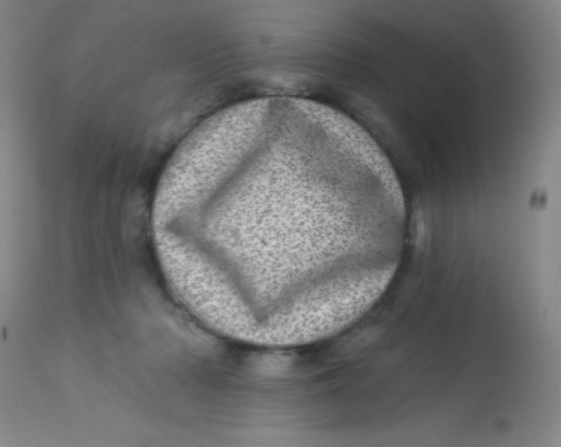 X0000113630318200910091602