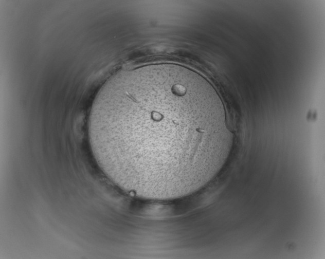 X0000113630319200910091602