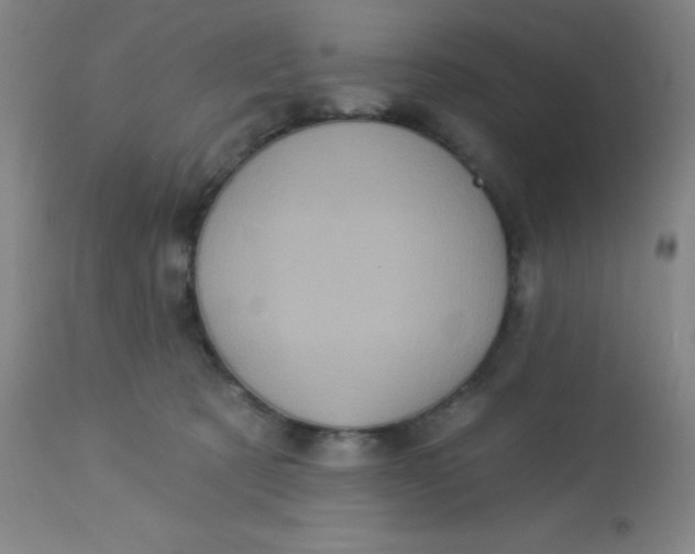 X0000113630321200910091601