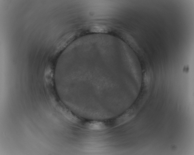 X0000113630322200910091601