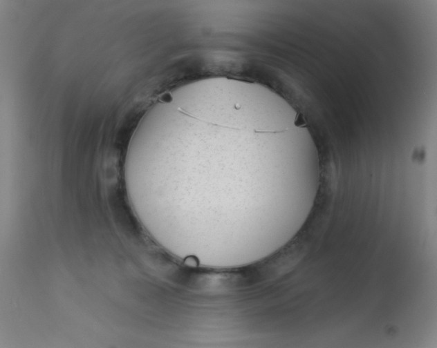 X0000113630323200910091601