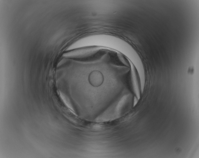 X0000113630325200910091601