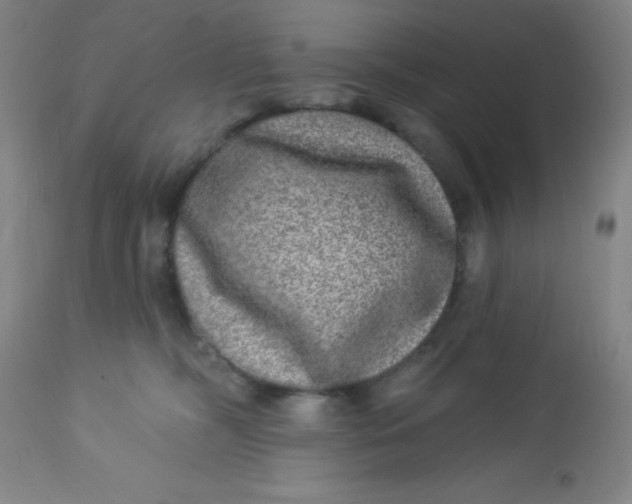 X0000113630326200910091601