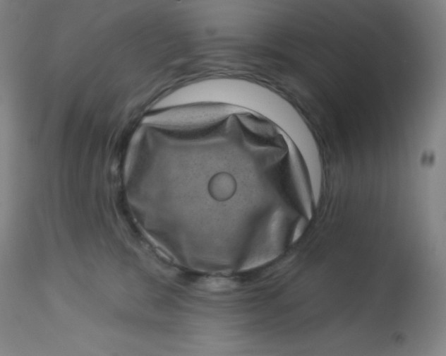 X0000113630327200910091601