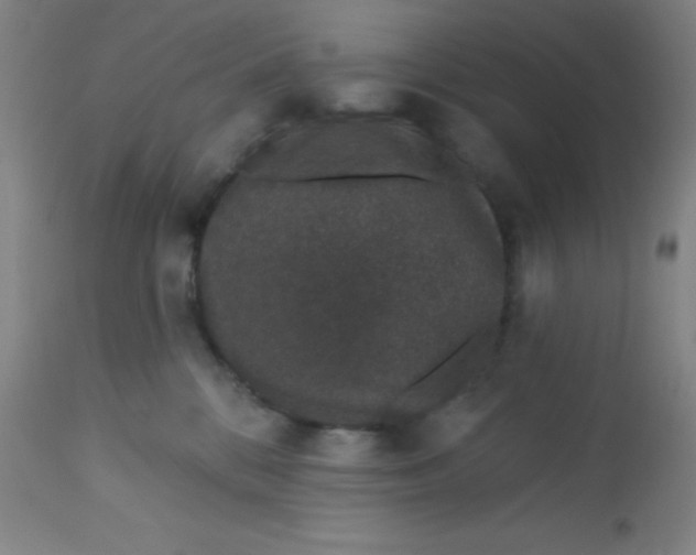 X0000113630328200910091601