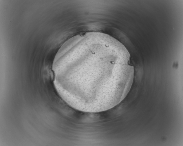 X0000113630329200910091601