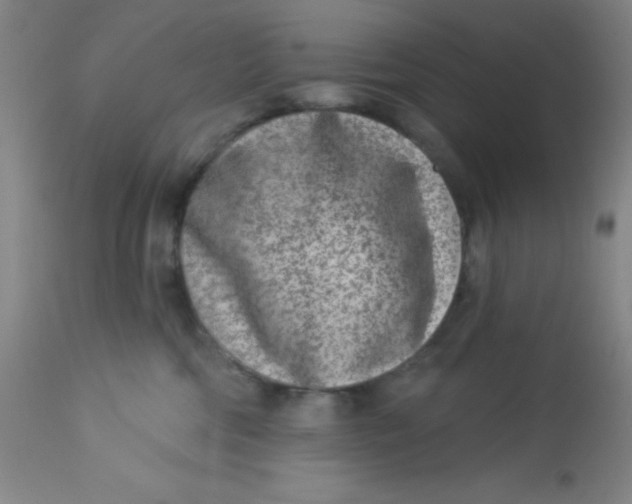 X0000113630330200910091601