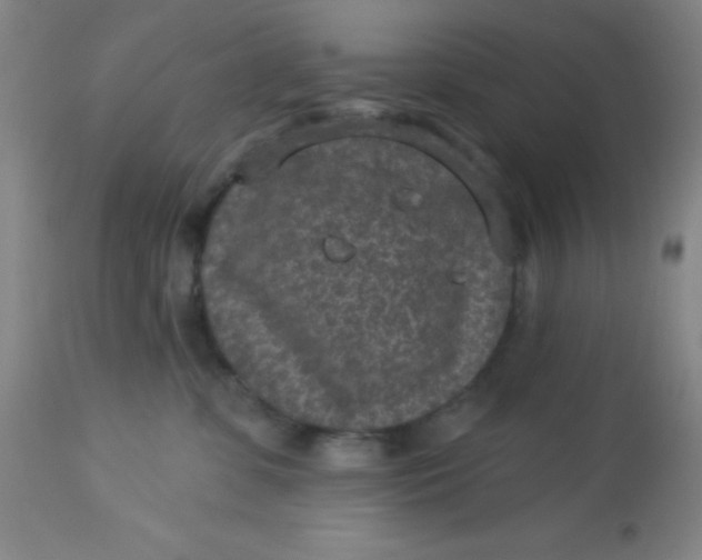 X0000113630331200910091601