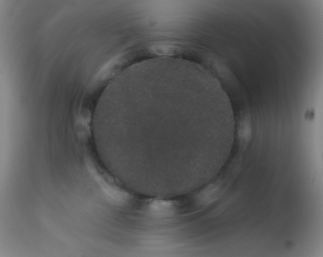 X0000113630332200910091601