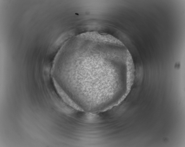 X0000113630333200910091601