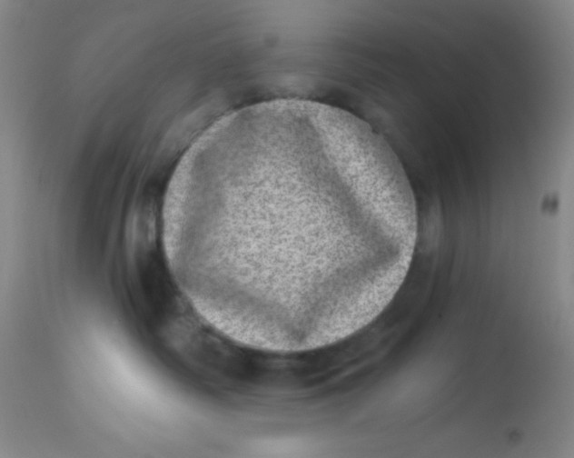 X0000113630334200910091601