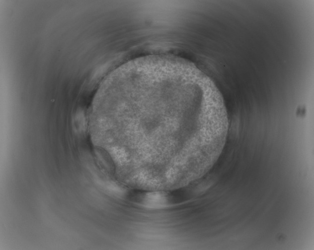 X0000113630335200910091601