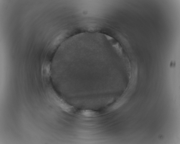 X0000113630336200910091601