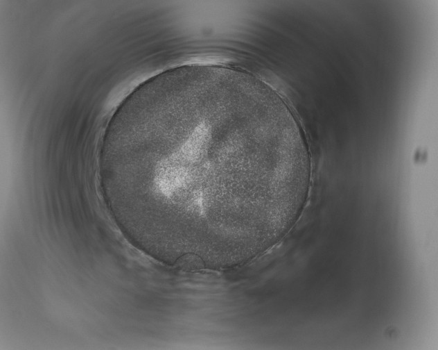 X0000113630337200910091601