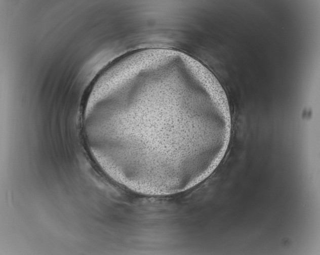 X0000113630338200910091601