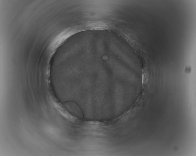 X0000113630339200910091601