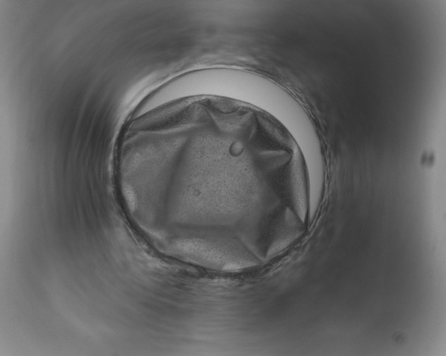 X0000113630340200910091601