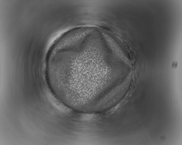 X0000113630342200910091601