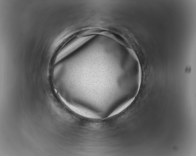 X0000113630344200910091601