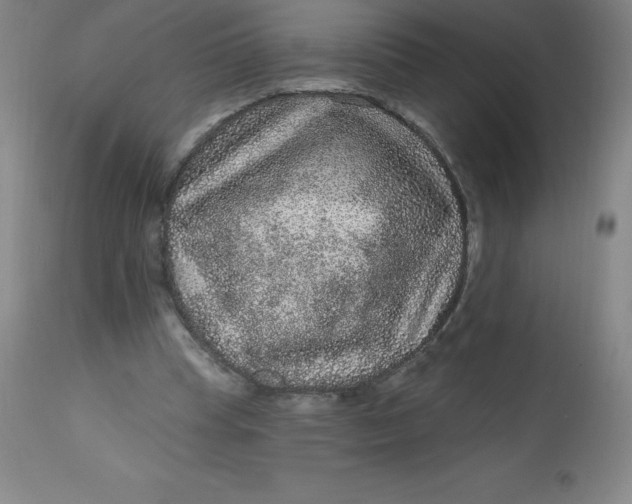 X0000113630345200910091601