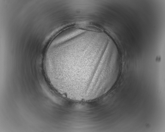 X0000113630346200910091601