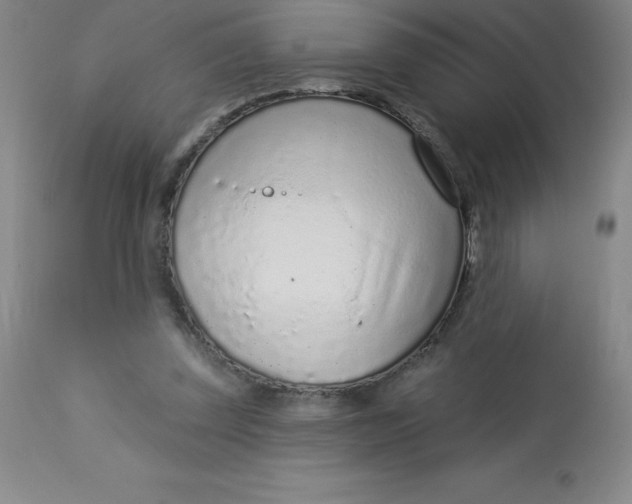 X0000113630347200910091601