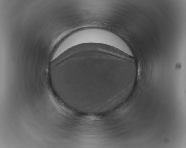 X0000113630348200910091601