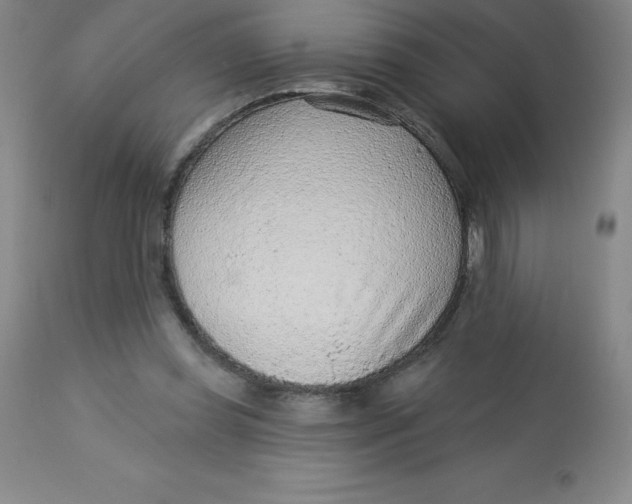 X0000113630349200910091601