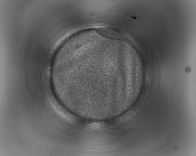 X0000113630350200910091601