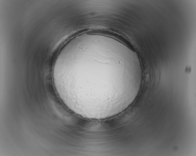 X0000113630351200910091601