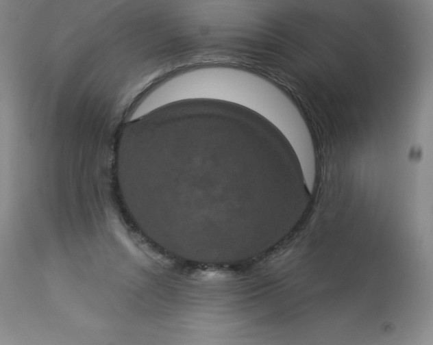 X0000113630352200910091601