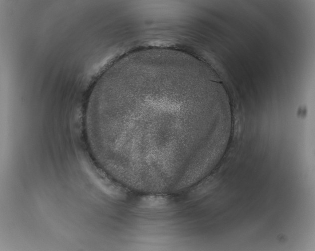 X0000113630354200910091601