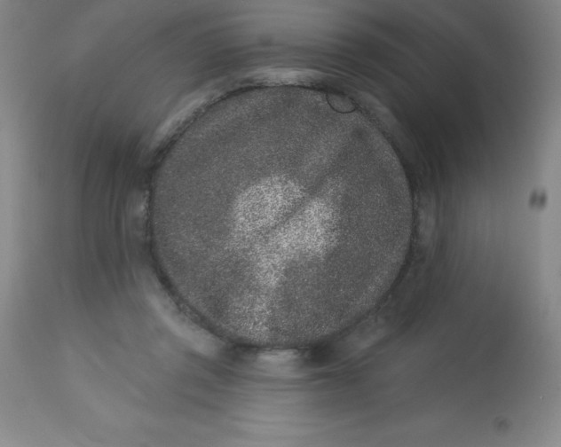 X0000113630357200910091601