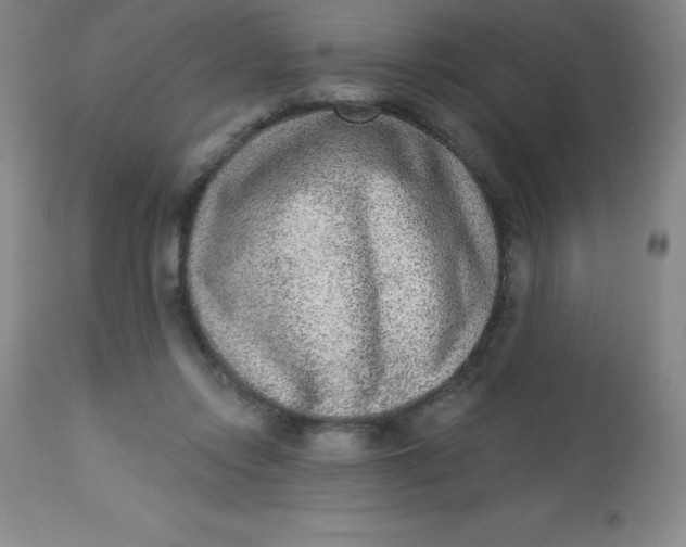 X0000113630358200910091601