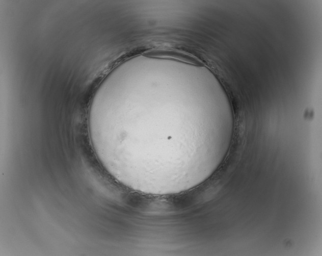 X0000113630359200910091601