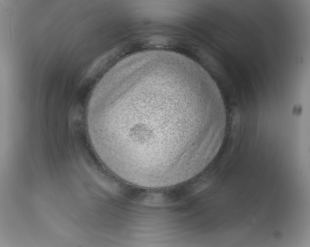 X0000113630361200910091601