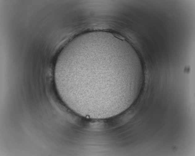 X0000113630362200910091601