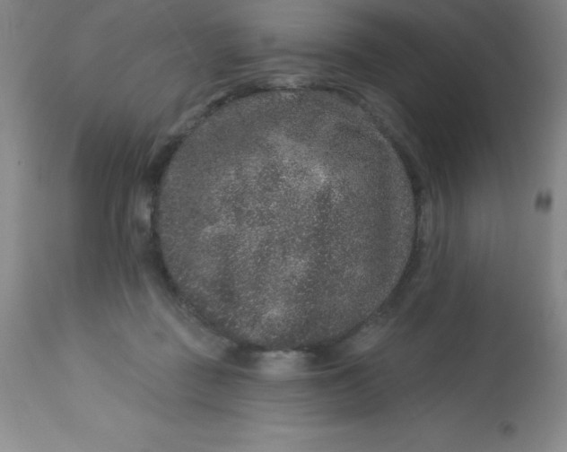 X0000113630363200910091601